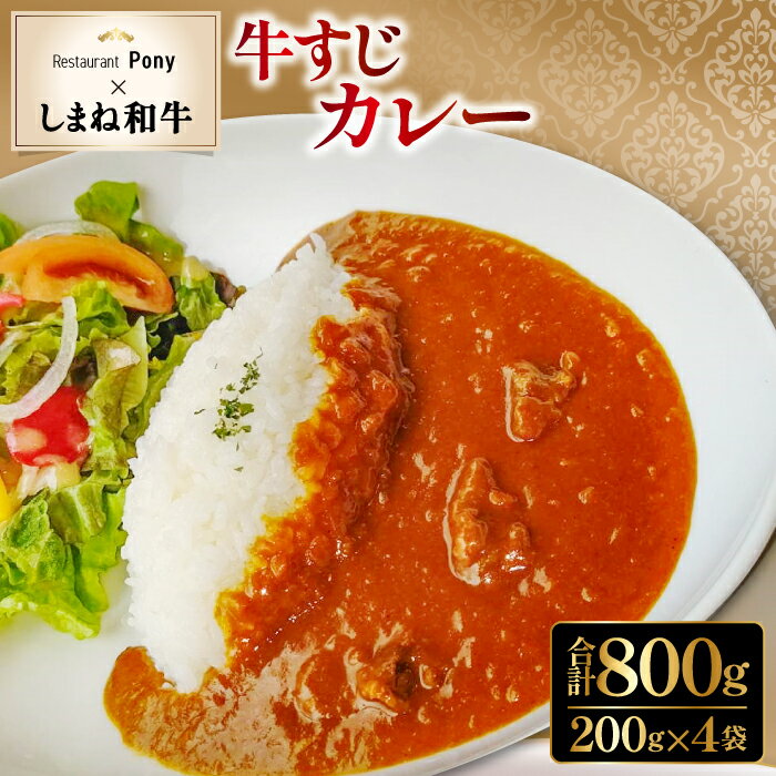 【ふるさと納税】 「しまね和牛」 牛すじ入り デリシャスカレー 4袋 1袋200g 合計800g ビーフカレー 4食入り 本格欧風カレー 島根和牛 和牛 牛肉 国産 惣菜 便利 冷凍食品 簡単調理 時短 湯煎 絶品 手作り ご当地グルメ お取り寄せ お取り寄せグルメ 冷凍カレー