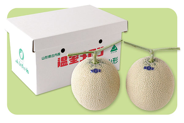 【8月より順次発送】アールスメロン 大玉2玉（入金期限：2026.7.20） 大玉 2玉