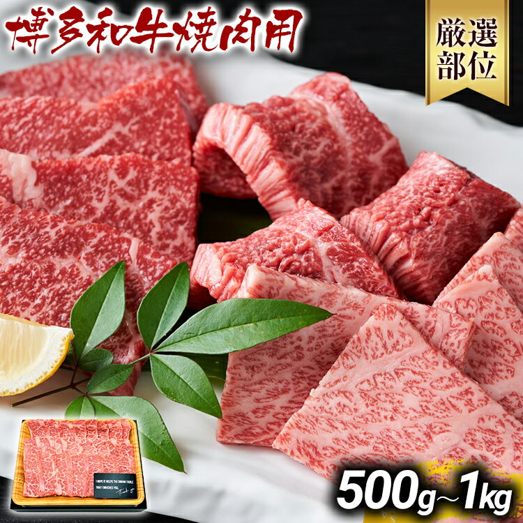 【ふるさと納税】博多和牛焼肉用 500g 1kg 黒毛和牛 お取り寄せグルメ お取り寄せ お土産 九州 福岡土産 取り寄せ グルメ MEAT PLUS CP-S0007 CP019 CP020