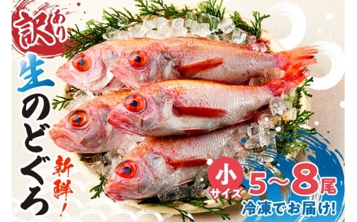 【兵庫県香住産 訳あり のどぐろ 調理済 少し小さめ（1匹80～100g前後）約600g～700g 冷凍】ご入金確認後、水揚げ次第順次発送予定 サイズ不揃い 日本海で水揚げ 生冷凍 鮮度抜群 脂乗りの
