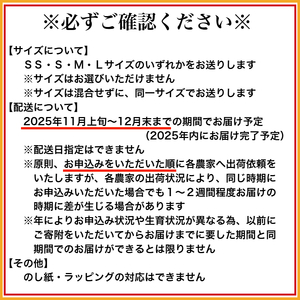 有田みかん「未来への虹」（5kg）(B973-2)