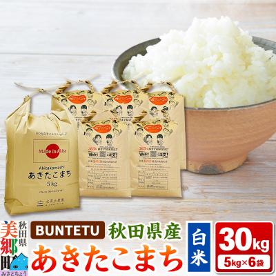 ふるさと納税 美郷町 あきたこまち 精米 30kg(5kg×6)|01_btt-023001