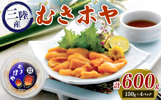 年内発送 むきホヤ600g (150g×4P) ほや お刺身 海鮮 魚貝類 魚介類 冷凍 お酒のあて おつまみ 晩酌 珍味 Hoya おさしみ 串焼き フライ 魚介 父の日 大船渡 三陸 岩手県