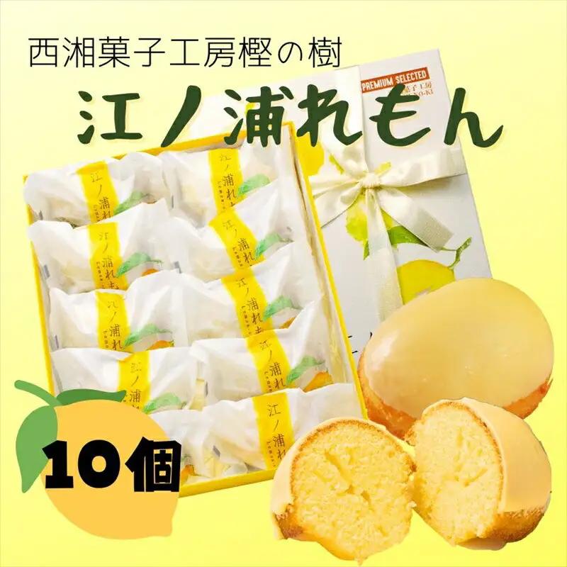 西湘菓子工房樫の樹　江ノ浦れもん10個入りギフト 【 お菓子 スイーツ 神奈川県 小田原市  お菓子】