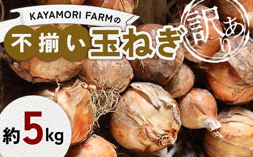 
            KAYAMORI FARMの不揃い玉ねぎ 約5kg 訳アリ玉ねぎ F6U-377
          