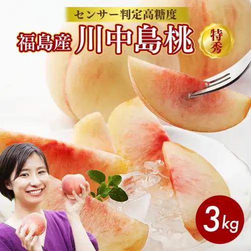 【ふるなびWEEK対象】透過式光センサー川中島白桃 特秀3kg相当 9玉～11玉＜ ふくしま未来農業協同組合 ＞ | ふくしま 桃 福島 もも 国見 モモ ※2026年8月～発送