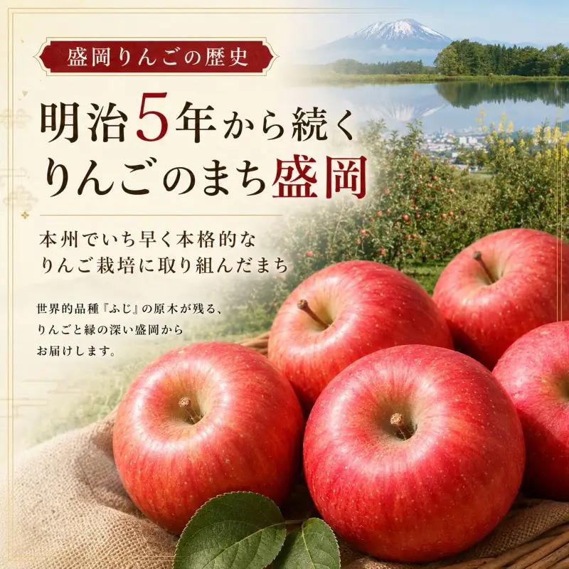 【12月上旬~発送】 贈答用 りんご はるか 5kg 先行予約 ふじむら農園 fujimura010