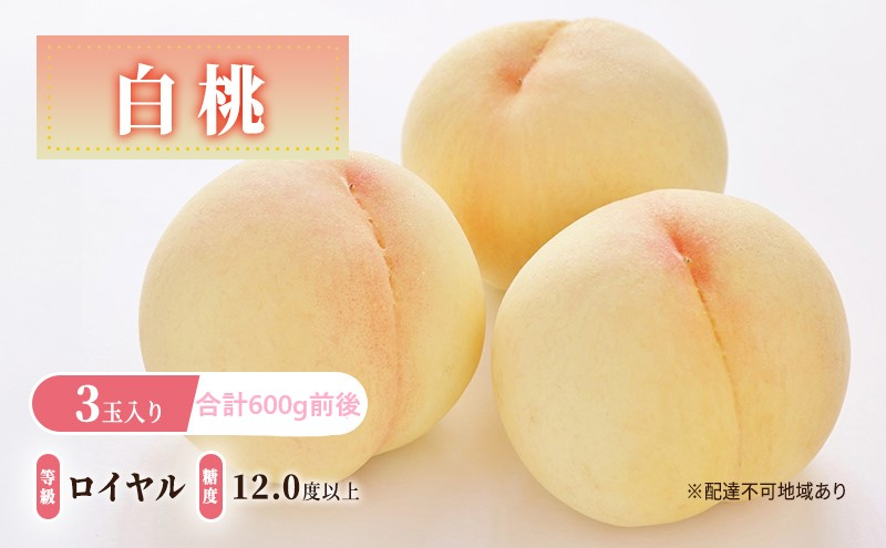 
            [№5615-0628]桃 【2026年 先行予約】 白桃 等級: ロイヤル 糖度12.0度以上 3玉入り 合計600g前後 もも 岡山県産 国産 フルーツ 果物 ギフト
          