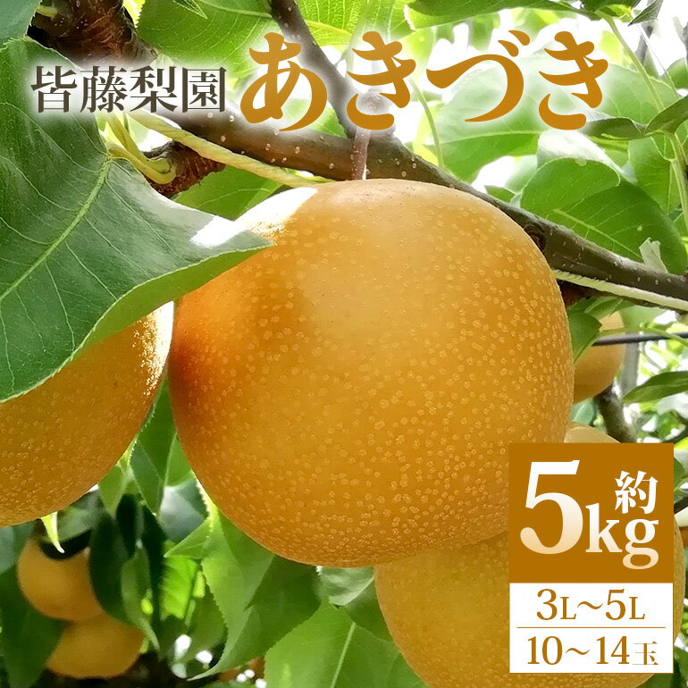 【ふるさと納税】【数量限定・先行予約】あきづき（約5kg/3L～5L/10～14玉） 梨 あきづき 果物 なし ナシ 秋月 くだもの フルーツ 皆藤梨園 【8月上旬以降発送予定】 75-D