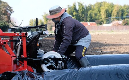 里芋 ねっとりもちもち 小郡産の里芋 赤芽大吉 2.5kg ふくおかエコ農産物認証 ゆうき自然農場 野菜 芋 