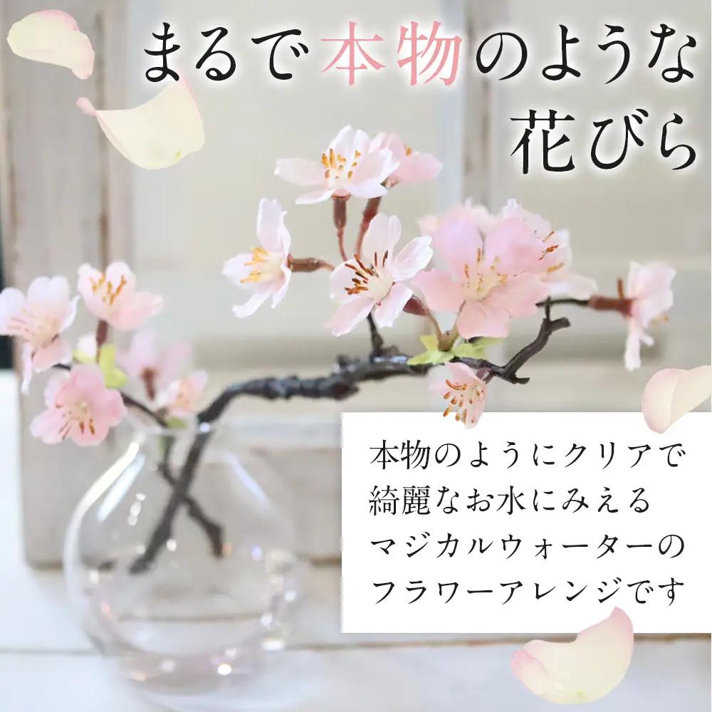 新春　淡雪桜　さくら　魔法の水　マジカルウォーター『薄紅』