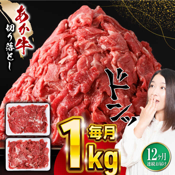 【ふるさと納税】【全12回定期便】熊本県産 あか牛 切り落とし 合計12kg (500g×2P) 熊本 赤牛 褐牛 あかうし 褐毛和種 肥後 冷凍 国産 牛肉 和牛 切り落とし こま切れ 小分け【五右衛門フーズ】[YBZ022]