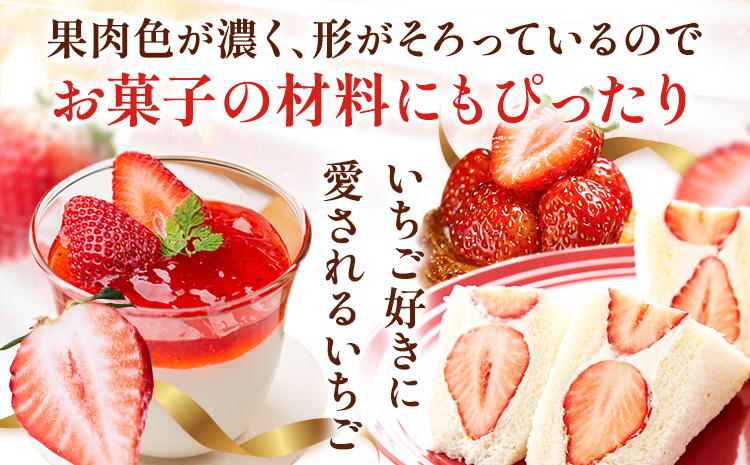 【先行予約】いちご 和歌山県産 紀州和歌山 ブランド いちご まりひめ 2パック 560g 株式会社魚鶴商店 《1月上旬-2月下旬頃出荷》 和歌山県 日高町 フルーツ 果物 スイーツ 甘い