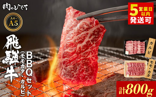 飛騨牛 BBQセット（カルビ・モモカタ） 800g A5 A4 国産 牛 冷凍 和牛 牛肉 カルビ もも モモ カタ 肩 かた 豪華 ギフト 贈答 にく お肉 肉 東白川村 岐阜 飛騨 贅沢 霜降り 赤身 肉のひぐち