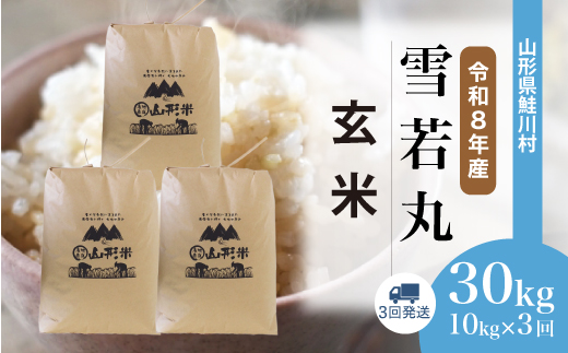 ＜令和8年産米 新米＞ 令和8年11月中旬より発送  雪若丸【玄米】30kg 定期便 (10kg×3回） 山形県鮭川村