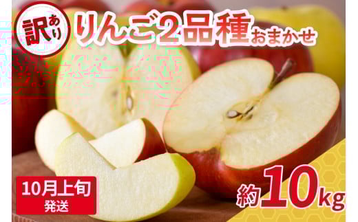 【2025年10月上旬発送】 【訳あり】 旬の美味しい りんご 約10kg 青森産 【おまかせ2品種】