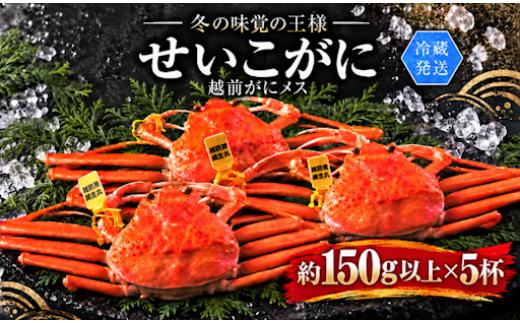 
                  【冷蔵発送】＼早期予約開始／　越前がに（メス）「せいこがに」150g前後 × 5杯
                