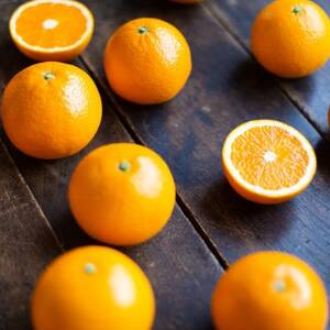 【愛媛名産】玉宝清見タンゴール　2kg【A64-81】【1623964】