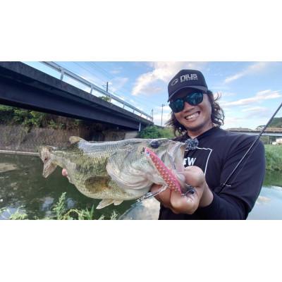 ふるさと納税 加東市 アベンタクローラー バゼル(鯉のぼり) ルアー 80mm 6.6g |  | 02