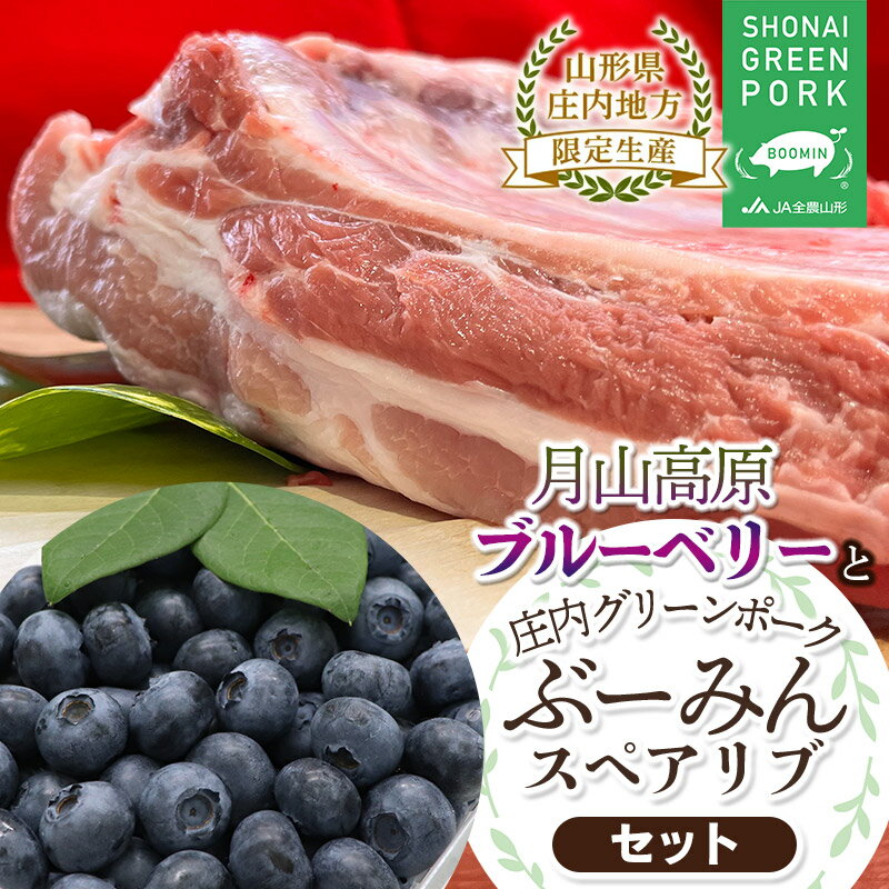 【ふるさと納税】【令和7年産先行予約】月山高原ブルーベリー（約400g×2パック）と庄内グリーンポーク "ぶーみん"スペアリブ（3〜4本骨付 約800g）セット