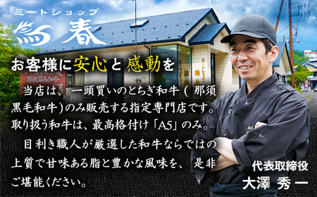【冷蔵】那須黒毛和牛 A5等級 特選サーロインステーキ 400g 和牛 グルメ ジューシー 食品 焼肉 国産 高級 冷凍 冷蔵 栃木県 那須町〔P-161〕 ※着日指定不可