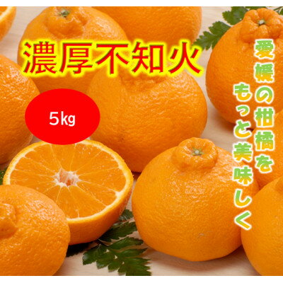 【ふるさと納税】みさき果樹園で栽培・収穫・段々畑育ちの濃厚不知火5kg【C21-63】【1706092】
