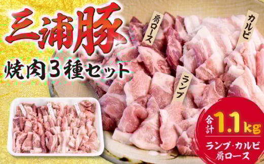 豪華三浦豚 1.1kg 焼肉セット 肩ロース カルビ ランプ ブランド豚 国産 ポーク 大容量 ブランド豚 国産 ポーク 生姜焼き 恵那市 にく 肉 お肉 豚肉 ぶたにく 国産 ポーク 大容量 焼き肉 焼肉 バーベキュー BBQ 産地直送 送料無料 お取り寄せ 贈答 ギフト プレゼント 岐阜県産 恵那市産 /恵那市 / あづま精肉店 [AUDL005]