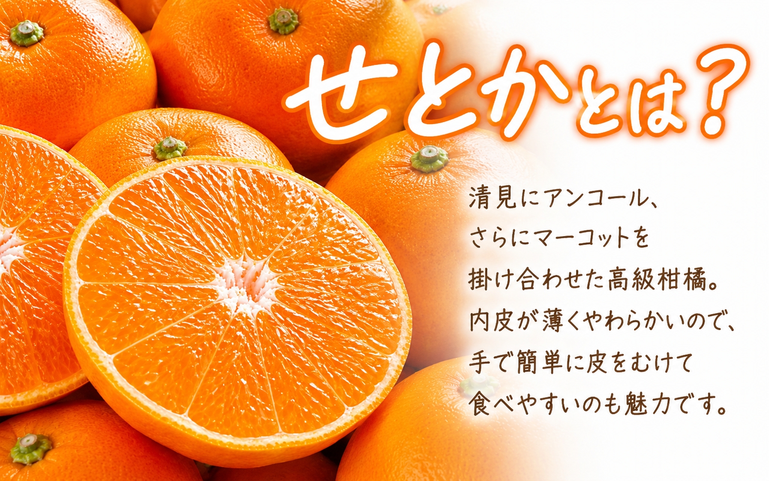 【ご家庭用訳あり】紀州和歌山産　せとか　約５ｋｇ 2027年2月中旬頃～3月中旬頃発送　【先行予約】【みかん】 【uot748】