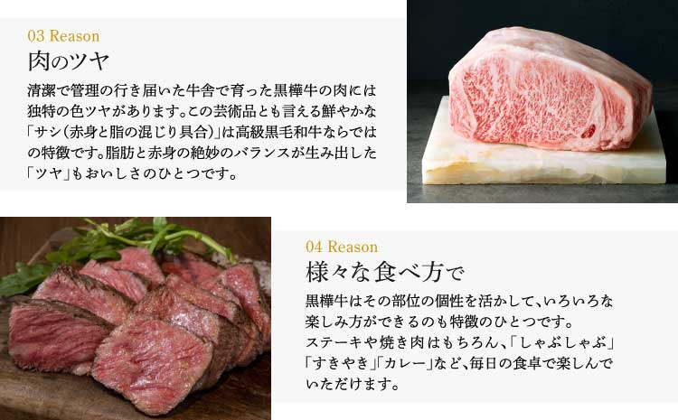 九州産黒毛和牛 杉本本店 黒樺牛 A4~A5等級  ロースステーキ 200g×3 計600g