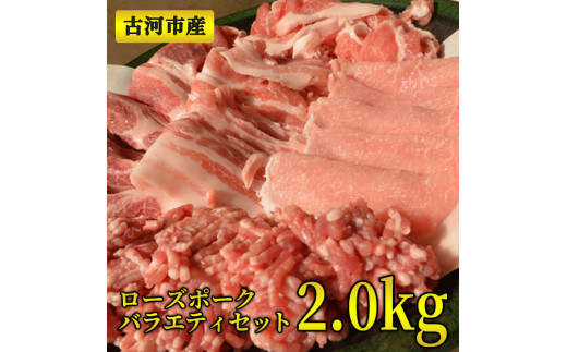 古河市産ローズポークバラエティセット2.0ｋｇ【全国銘柄食肉コンテストで最優秀賞を受賞】 | 肉 豚肉 ブランド 冷凍  BBQ 小分け 食べ比べ 食べくらべ ロース 肩ロース ひき肉 切り落とし セ