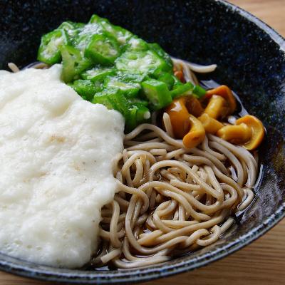 ふるさと納税 南部町 【毎月定期便】青森県産長いも　トロトロとろろ&amp;サクサク長いも全2回