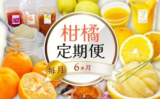 定期便 6回 6ヶ月 果物 定期便 ぽんかん 土佐 文旦 オーガニック 無農薬 防腐剤 不使用 高知県 須崎市 柑橘 蜜柑 みかん mikan mikan 柑橘定期便 柑橘類 詰合せ 詰め合わせ 訳あり オレンジ フルーツ 果物 お取り寄せ 家庭用 フルーツ定期便 フルーツジュース 果物定期便 果物類 果物の詰合せ 高知県 須崎市 頒布会 6か月 6カ月 半年 全6回 10万円 100000円