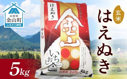 令和6年産 金山産米 はえぬき 【玄米】（5kg）米 お米 ご飯 玄米 ブランド米 送料無料 東北 山形 金山町 F4B-0563