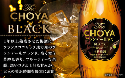 The CHOYA BLACK 700ml The CHOYA 至極の梅 650ml 計2本 セット 飲み比べ 羽曳野商工振興株式会社《30日以内に出荷予定(土日祝除く)》大阪府 羽曳野市 送料無料 