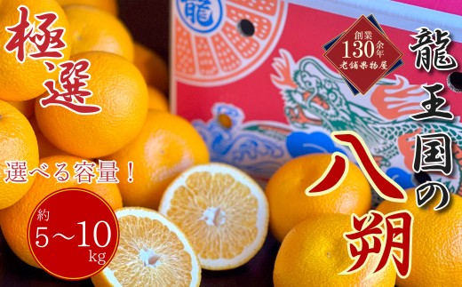 
                  【2027年3月中旬より順次発送】【極選】龍王国の八朔 約5kg  約10kg はっさく ハッサク 柑橘 果物 フルーツ 果実 みかん ふるさと納税みかん 美味しい 人気 旬のフルーツ 旬の果物 フルーツギフト 果物ギフト お取り寄せ 香川県 丸亀市
                