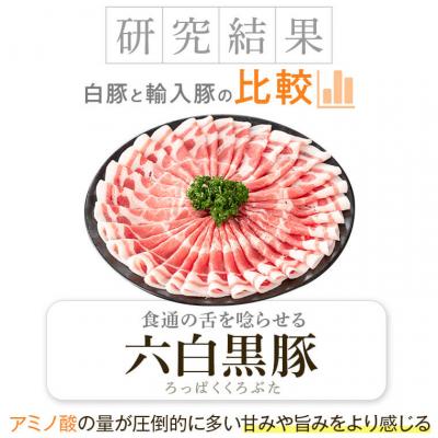 ふるさと納税 肝付町  黒豚ふるさとセット(合計約2.3kg)黒豚餃子(12個入)付き 　B02080 |  | 02