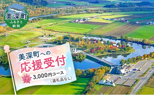 北海道美深町 寄附のみの応援受付 3,000円コース（返礼品なし 寄附のみ 3000円） チケット