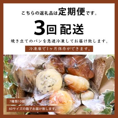 ふるさと納税 椎葉村 《3ヶ月定期便》【秘境・椎葉村の愛されパン屋さん】天然酵母パン 詰め合わせ 7種10個セット |  | 03