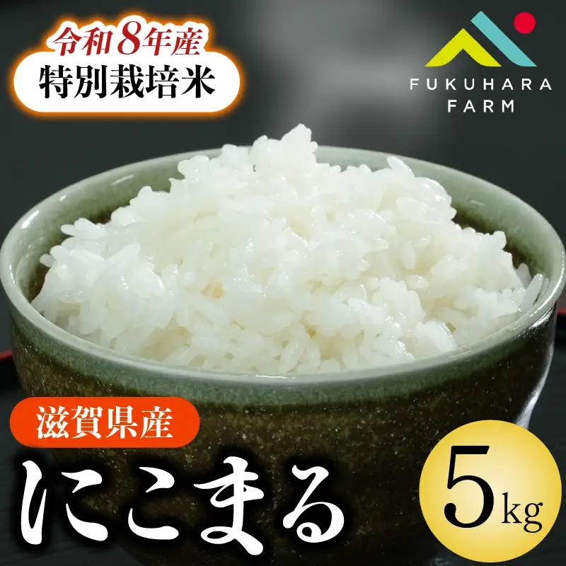 ＼ 先行予約 ／【令和8年産】 特別栽培米 にこまる 5kg 新米 白米 精米