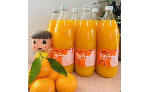 
            【無添加】有田みかん100%のジュース1,000ml×6本 みかんジュース 濃厚 柑橘 果物 フルーツ 甘い 100％ストレートジュース 【MS106】
          