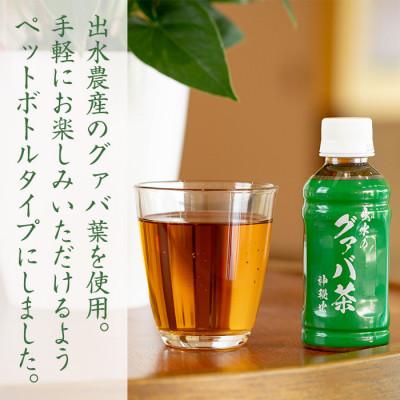ふるさと納税 出水市 グアバ茶PET(神秘也)200ml×40本 I1137-A |  | 02