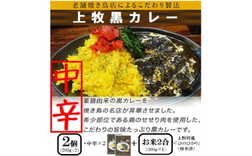 ＜ご当地カレー＞上牧黒カレー(中辛)2個+地元米(ひのひかり)2合をセット【1439531】
