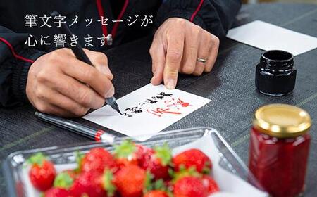 【2025年3月～4月お届け】★たっぷり！2倍の量★武下さんちの「完熟あまおう」3Lサイズ 900g入り