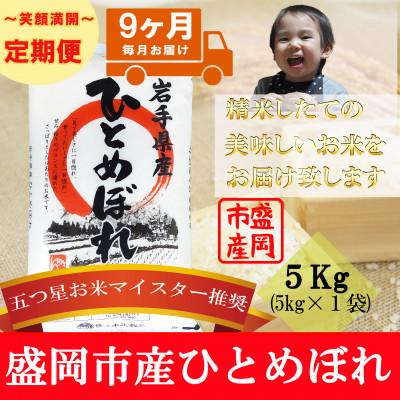 ふるさと納税 盛岡市 【毎月定期便】ひとめぼれ 5kg全9回