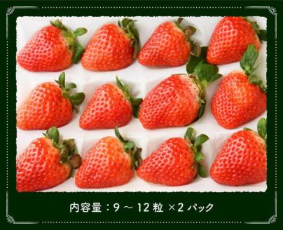 【令和9年発送】大粒さがほのか9~12粒入×2パック 【 国産 イチゴ 苺 果物 くだもの 期間限定 数量限定 】[B04603]