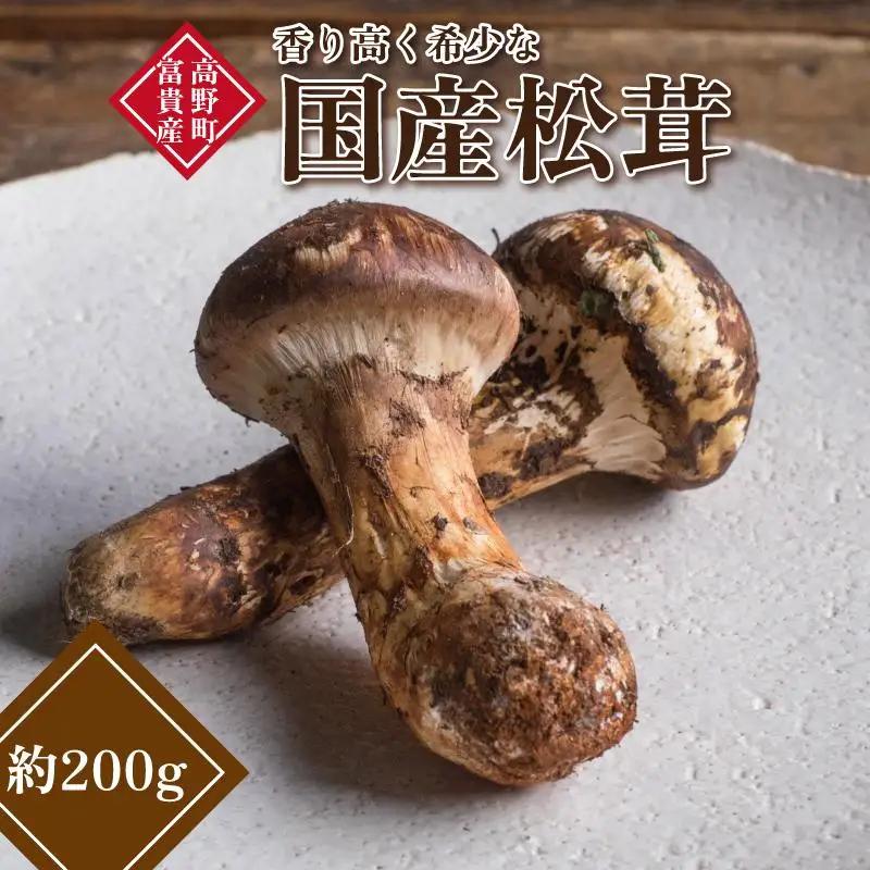 国産松茸 和歌山県産 香り高く希少な国産 松茸 約200g【2026年10月中旬頃より順次発送】【OKT1】