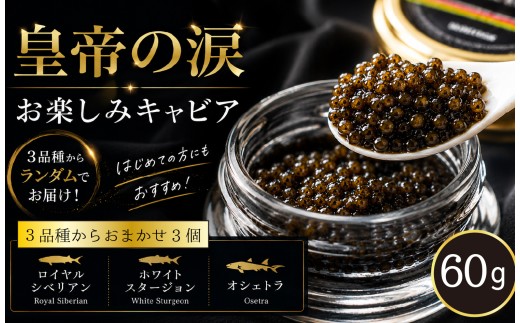 【お試しキャビア】皇帝の涙 60g 3品種からランダムで3個（ロイヤルシベリアン・オシェトラ・ホワイトスタージョン）国産 チョウザメ キャビア