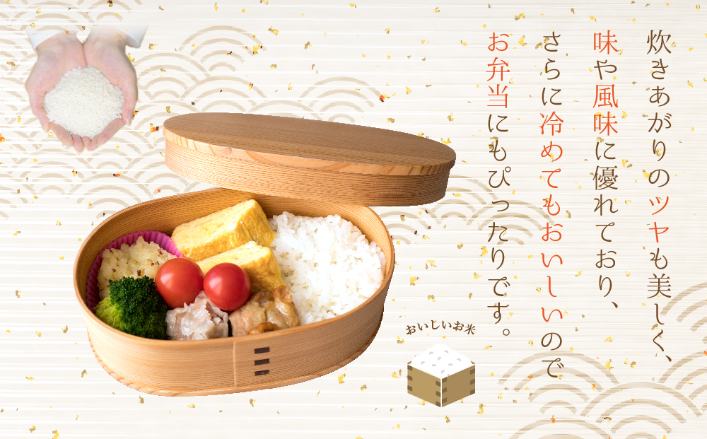 【選べる回数】隔月定期便全6回 R7年産コシヒカリ 5kg プロ厳選の産地直送米 令和7年産 阿蘇の美味しいお米を2ヶ月に一回お届け！精米 白米 人気 美味しい 甘み 香り ツヤ おすすめ ごはん 熊