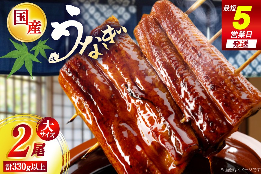 
                  うなぎ 国産 日向うなぎ 蒲焼 大 2尾 計330g以上 [日向サンパーク 宮崎県 日向市 452061756] ギフト 小分け 真空パック 鰻 ウナギ うなぎの蒲焼 蒲焼 蒲焼き
                