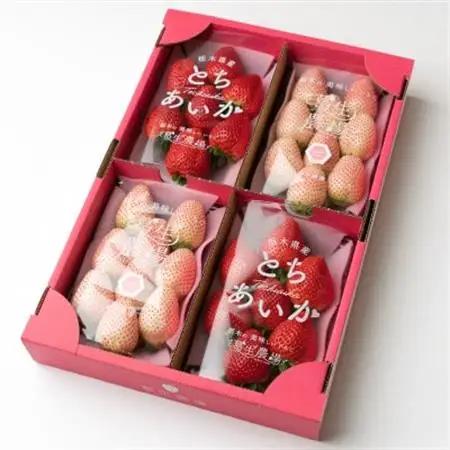 紅白イチゴ(とちあいか、ミルキーベリー)大粒 詰め合わせ(300g×4パック)_果物・フルーツ いちご  イチゴ 苺_【配送不可地域：離島】【1383420】